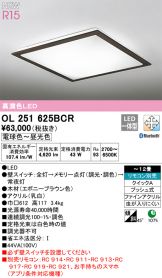 OL251625BCR