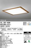 OL251628