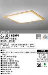 OL251629P1