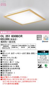 OL251630BCR