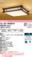 OL251663BCR