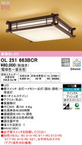 OL251663BCR