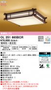 OL251665BCR