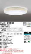 OL251670BC1