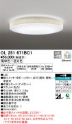 OL251671BC1