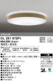 OL251672P1