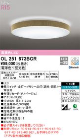 OL251673BCR
