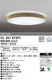 OL251673P1