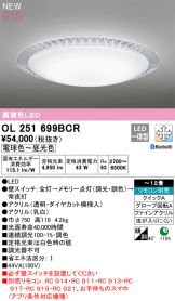 OL251699BCR