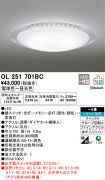 OL251701BC