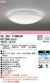 OL251710BCR