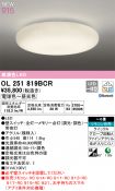 OL251819BCR