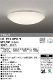 OL251820P1