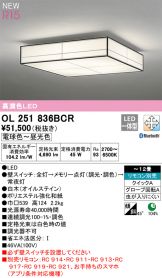 OL251836BCR
