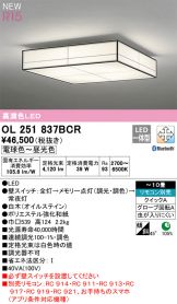 OL251837BCR
