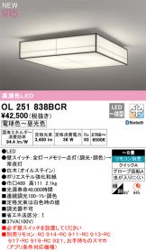 OL251838BCR
