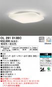 OL291013BC