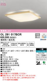 OL291017BCR