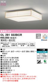 OL291022BCR