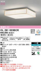 OL291023BCR