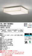 OL291023BC