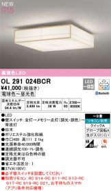 OL291024BCR