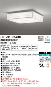 OL291024BC