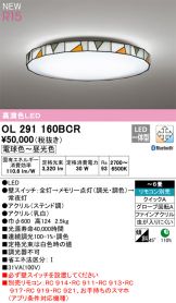 OL291160BCR