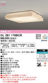OL291170BCR