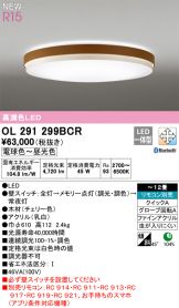 OL291299BCR