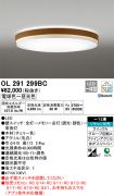 OL291299BC