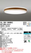 OL291300BC