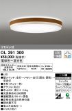 OL291300