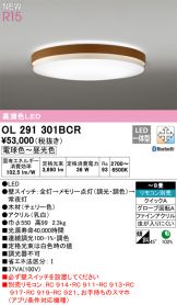 OL291301BCR