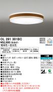 OL291301BC