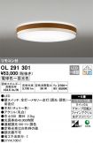 OL291301