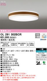 OL291302BCR