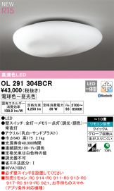 OL291304BCR
