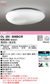 OL291306BCR