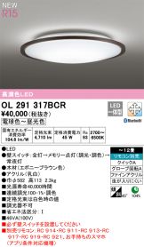 OL291317BCR