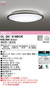 OL291319BCR