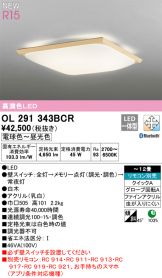 OL291343BCR