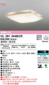 OL291344BCR