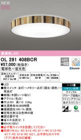 OL291408BCR
