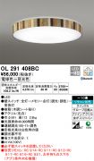 OL291408BC