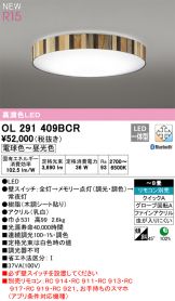 OL291409BCR