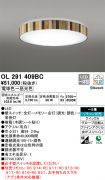 OL291409BC