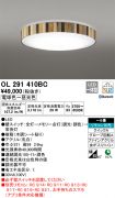 OL291410BC