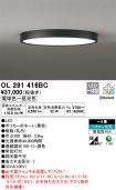 OL291416BC