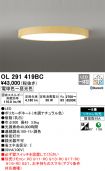 OL291419BC